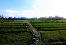 Sukoharjo Run Tourism Ramaikan Solo Raya Great Sale, Ribuan Peserta akan Nikmati Panorama Desa