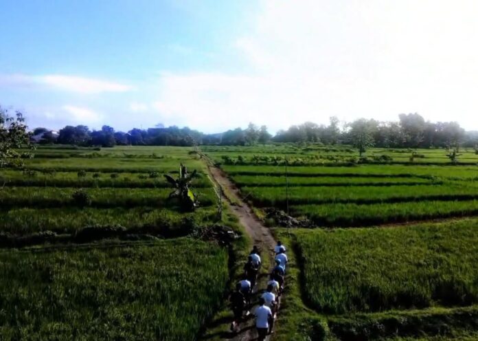 Sukoharjo Run Tourism