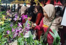 Karanganyar Go Market Raup Rp 1,4 M Lewat Transaksi Tunai di SGS 2025