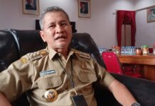 Festival Bakso dan Mie Ayam Wonogiri Hadirkan Bazaar UMKM hingga Hiburan Musik