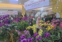 Solo Anggrek Festival 2025 Meriahkan Solo Raya Great Sale, Majukan Ekonomi dan Pelestarian Lingkungan