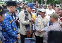 Kementan Dorong Klaten Jadi Motor Produksi Beras Nasional, Target Panen Empat Kali Setahun