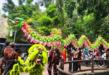 Sambut Imlek, Solo Safari Gelar Safari Spring Fortune dengan Berbagai Atraksi Budaya