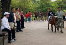 Momen Joko Widodo Temani Cucu Liburan Edukatif di Solo Safari