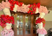 7 Cafe Instagramable di Solo dengan Vibe Santai, Wajib Dikunjungi